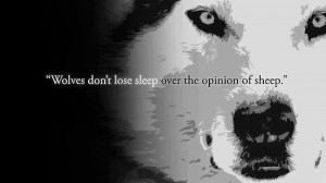 wolves sheep